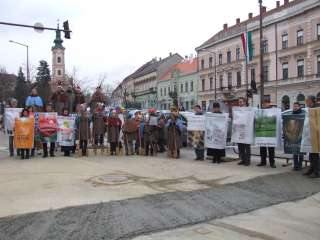 2013.02.09. Farsangi felvonulás 020.JPG 2013.02.09. Farsangi felvonulás 020.JPG